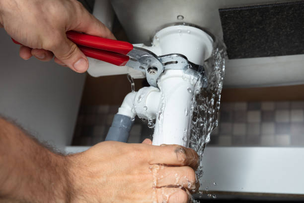 Best Professional water damage repair  in Elk Grove, CA
