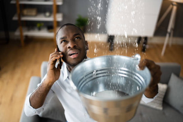Best Water damage contractors near me  in Elk Grove, CA