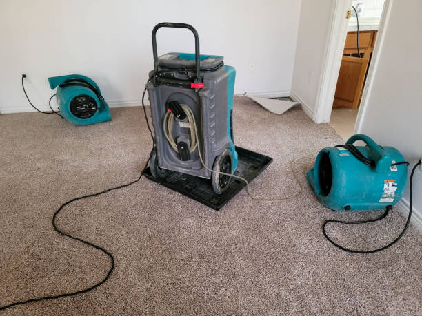 Best Commercial water damage restoration  in Elk Grove, CA