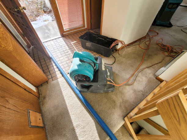 Best Residential water damage restoration  in Elk Grove, CA