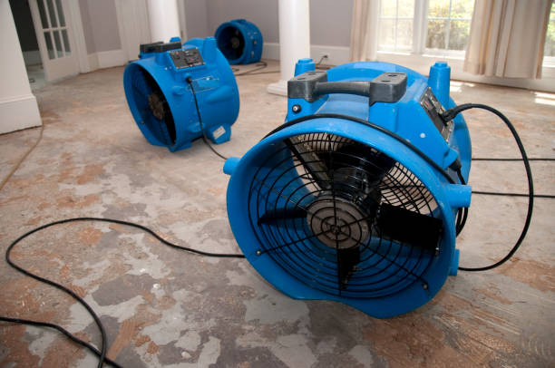 Best Water damage restoration near me  in Elk Grove, CA