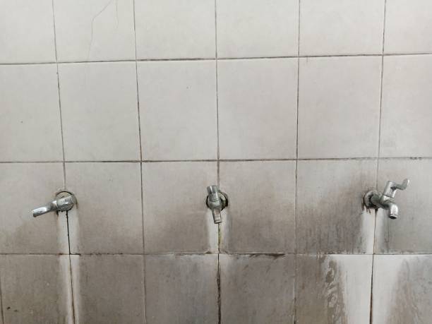 Best Ceiling water damage repair  in Elk Grove, CA