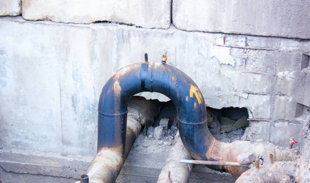 Best Flood restoration services  in Elk Grove, CA