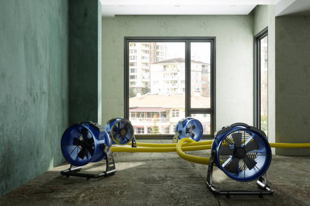 Best 24/7 water damage repair  in Elk Grove, CA